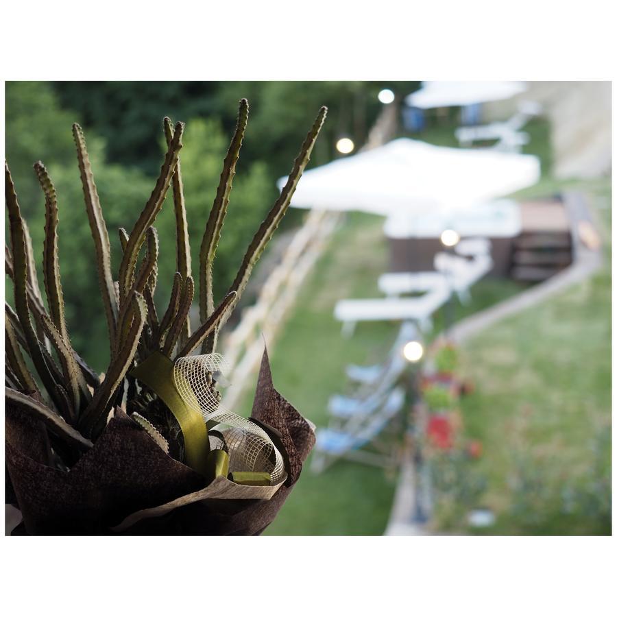 Locanda Il Rustichello Estalagem 2*